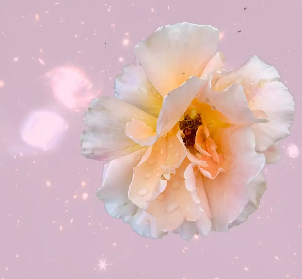 Gentle spiritual art of a flower, with galaxies and stars in background