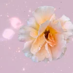 Gentle flower art, with galaxies and stars in background