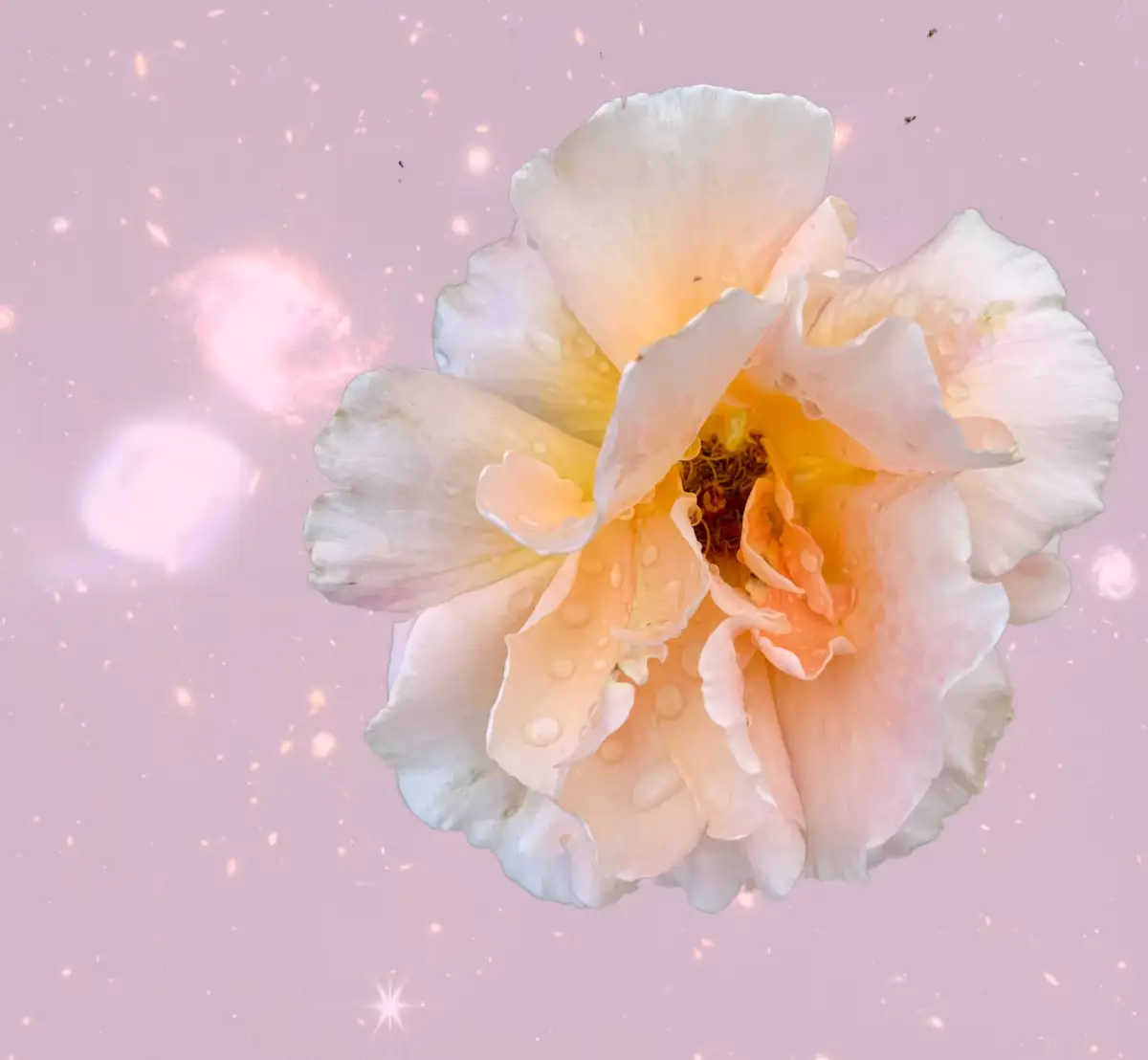 Expressing Unconditional Love, interview by Jane Red Path