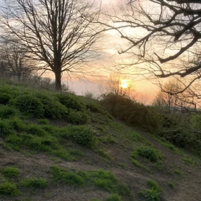 Sunset over a hillside with trees silhouetted against a warm evening sky